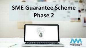 SME Guarantee Scheme